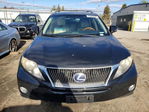 Lexus RX 2011
