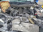 Ford Ranger 2023