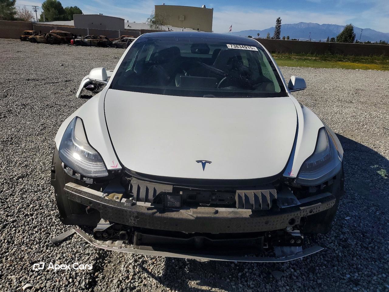 Tesla Model 3 2019