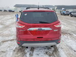 Ford Escape 2015