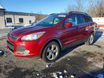 Ford Escape 2014