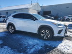 Lexus NX 2021