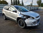 Ford Escape 2013