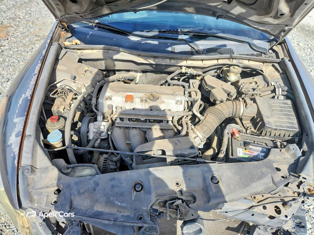 Honda Accord 2011