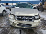 Ford Escape 2010