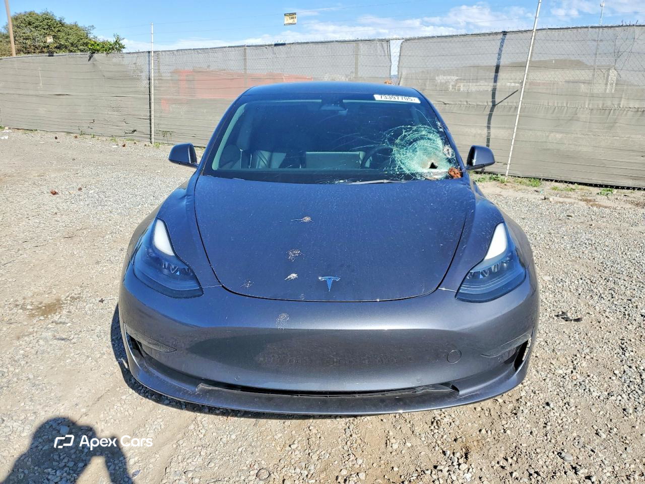 Tesla Model 3 2022