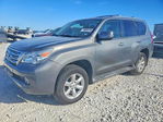 Lexus GX 2011