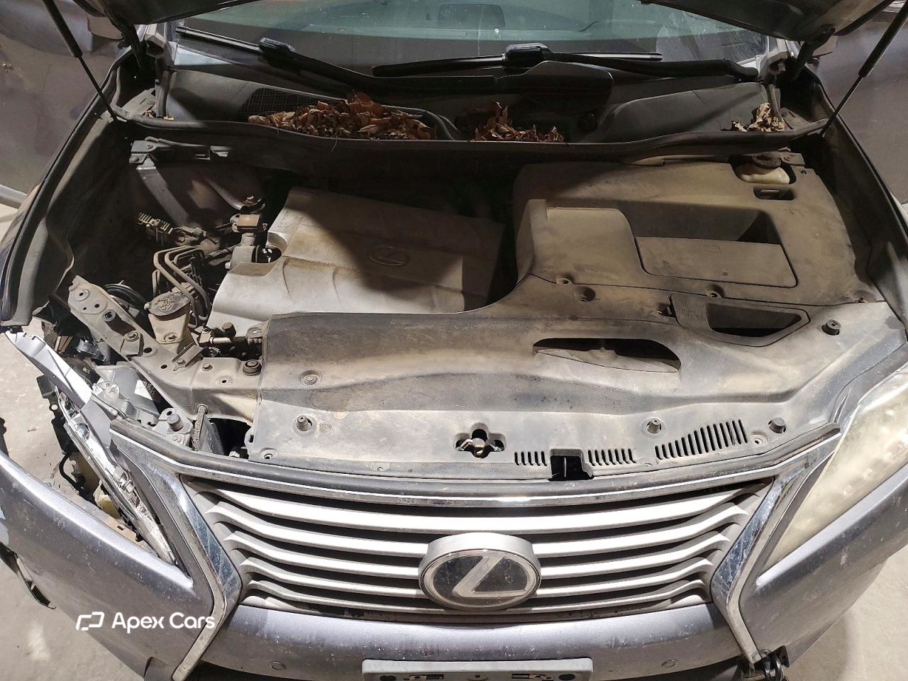 Lexus RX 2015