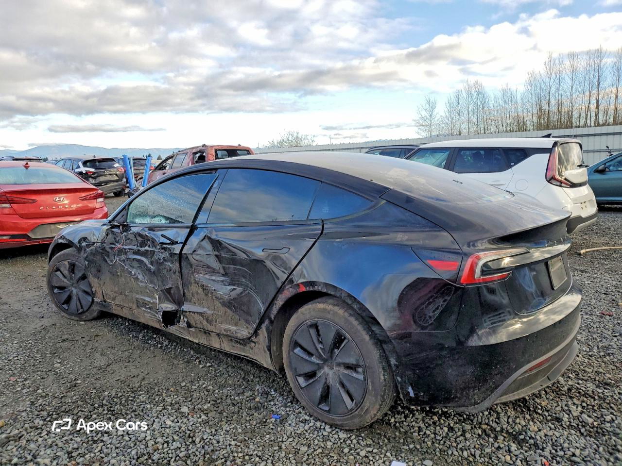 Tesla Model 3 2025