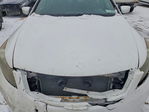 Honda Accord 2011
