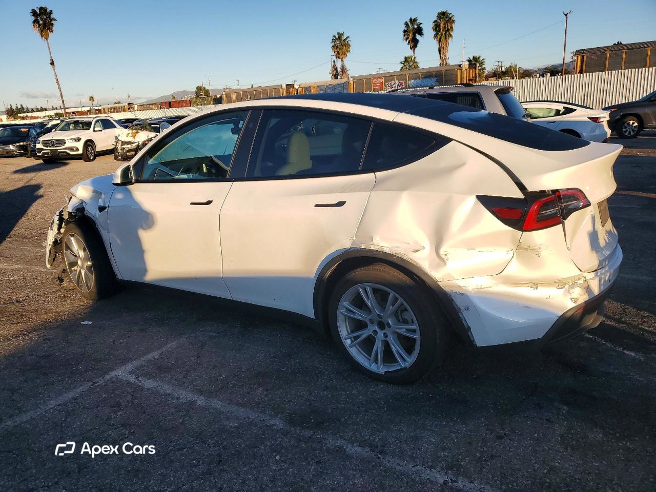 Tesla Model Y 2021