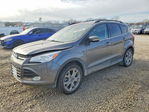 Ford Escape 2013