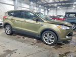 Ford Escape 2013