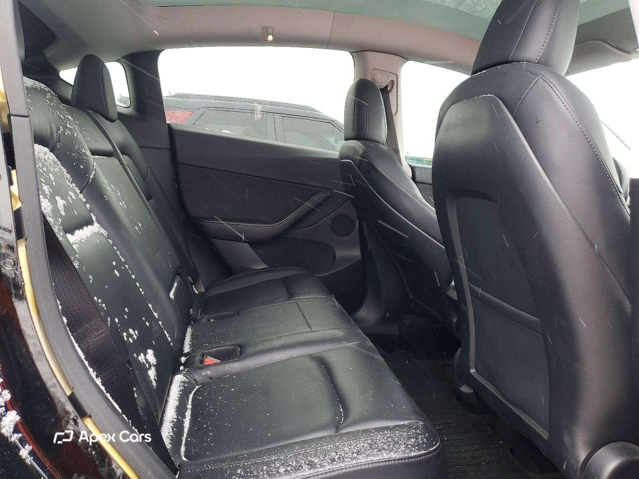 Tesla Model Y 2020