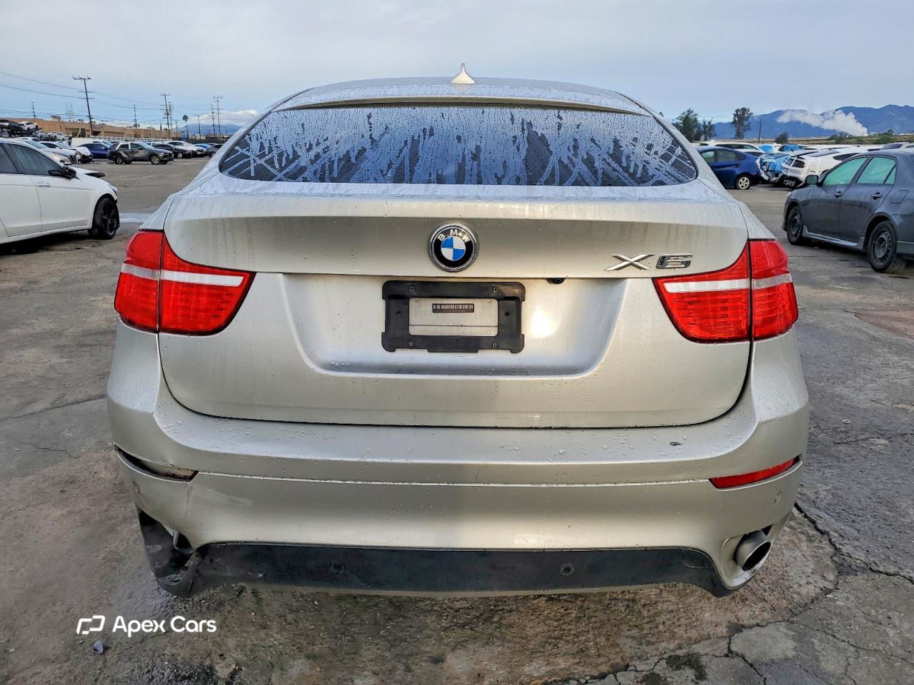 BMW X6 2010