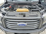 Ford F-150 2016