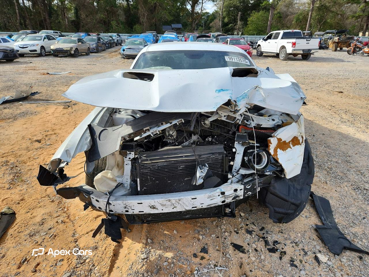Dodge Challenger 2019