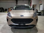 Ford Escape 2020