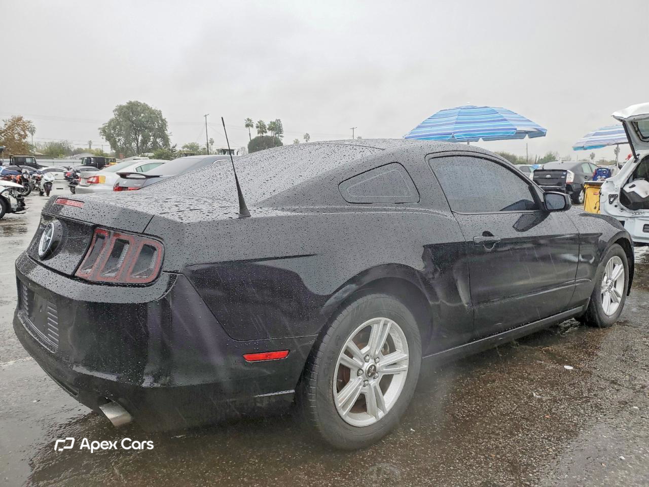 Ford Mustang 2013