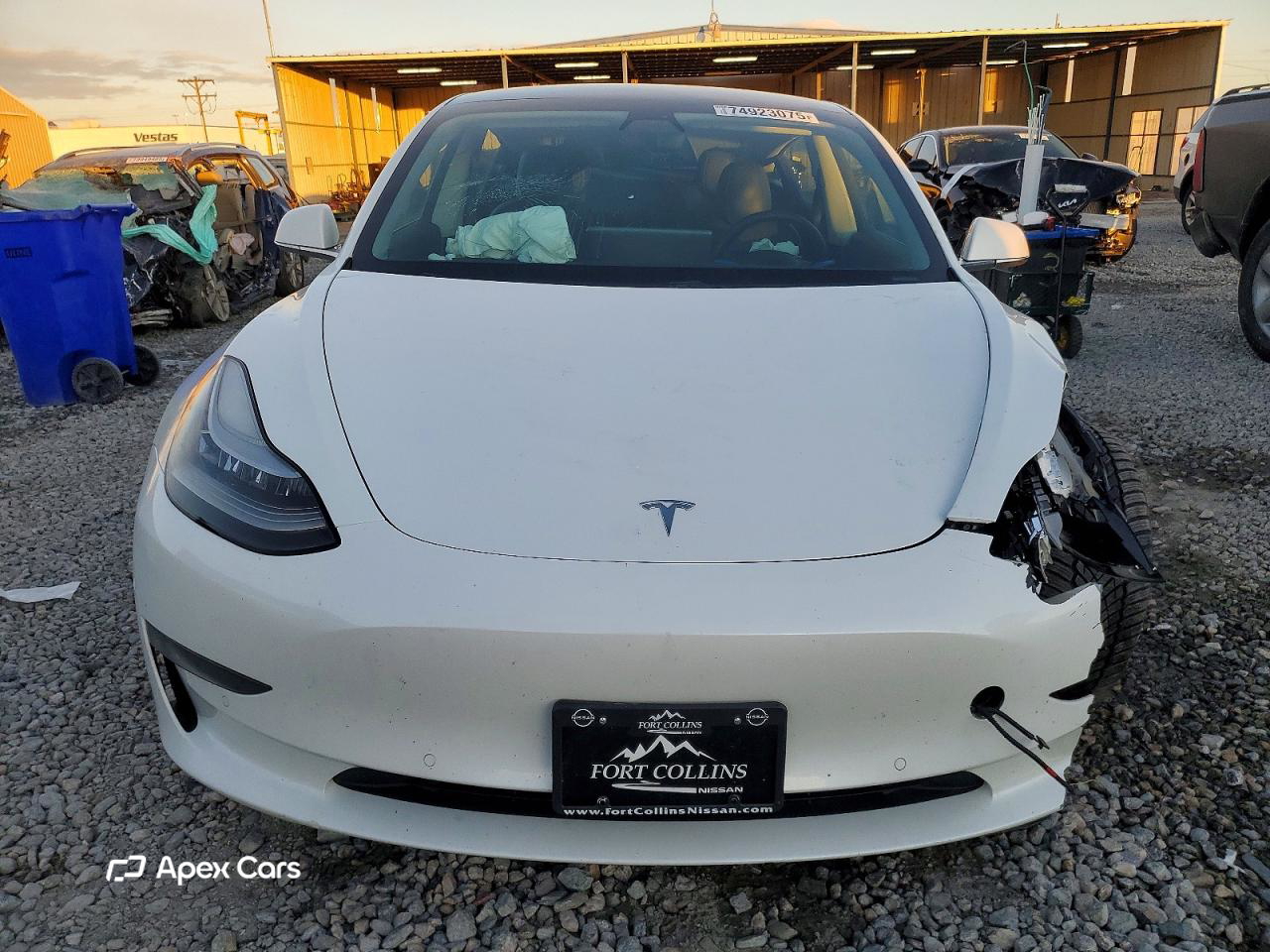 Tesla Model 3 2019