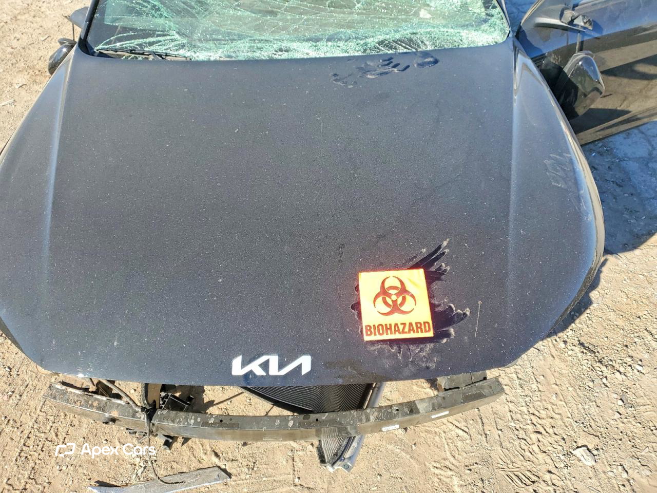Kia K4 2025