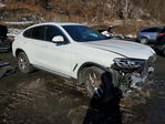 BMW X4 2022