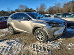 Lexus NX 2016