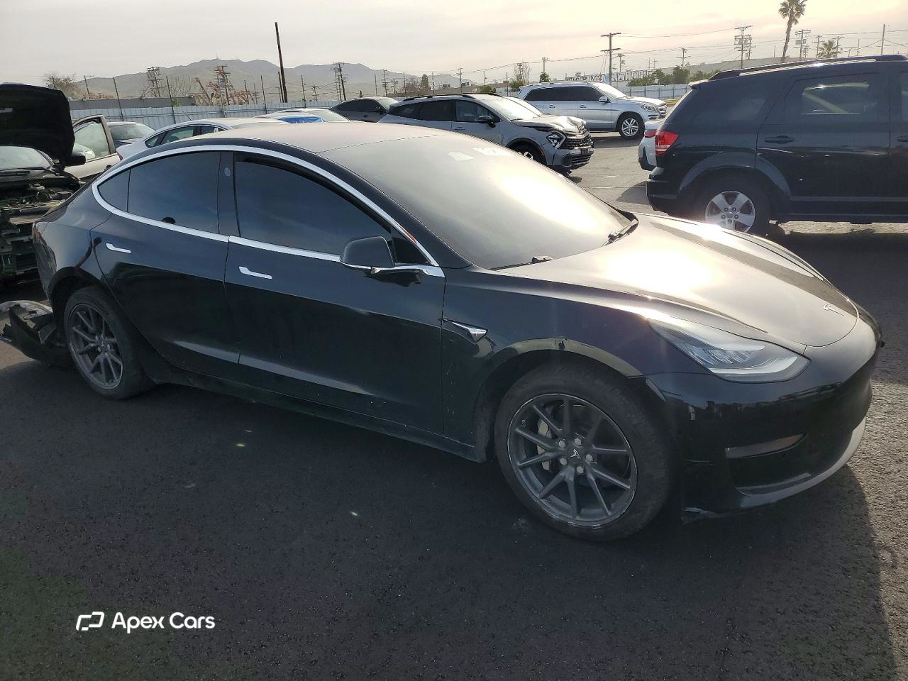 Tesla Model 3 2019