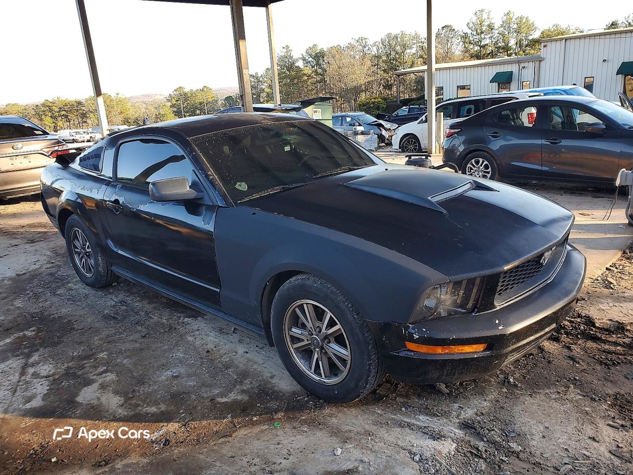 Ford Mustang 2005