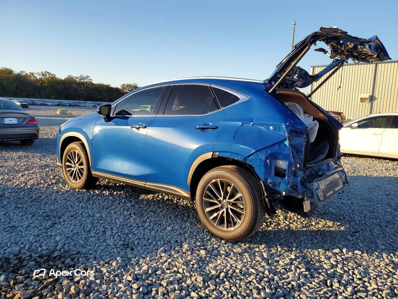 Lexus NX 2025