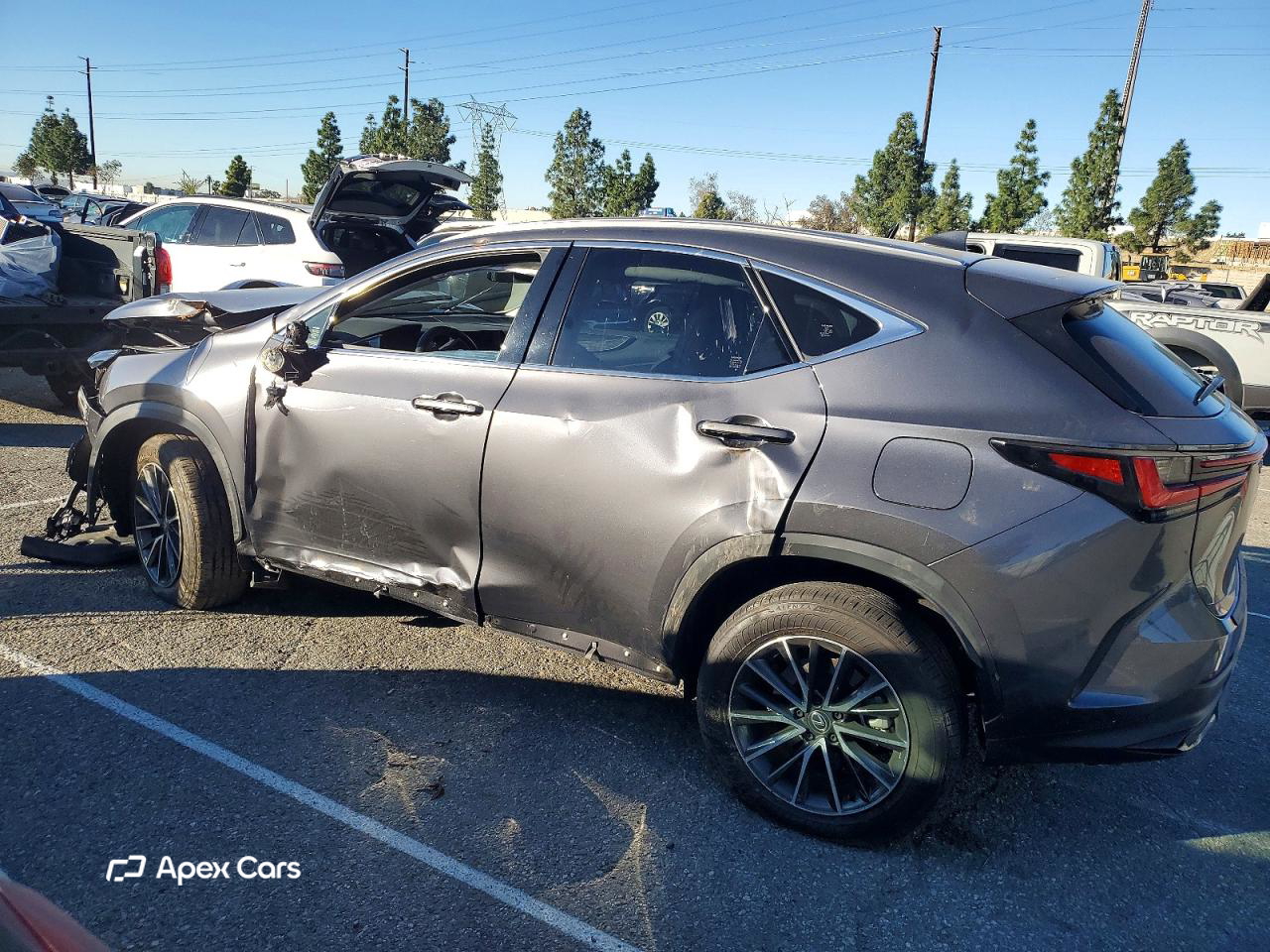 Lexus NX 2024