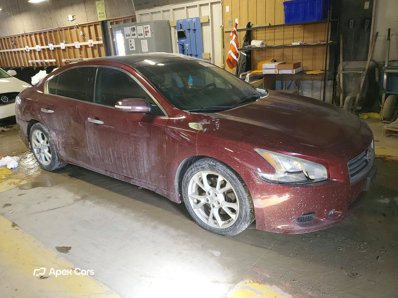 Maxima 2013