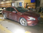 Maxima 2013