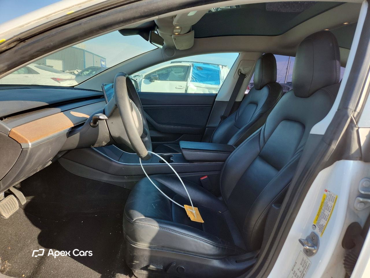 Tesla Model 3 2019