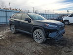 Toyota RAV 4 2024