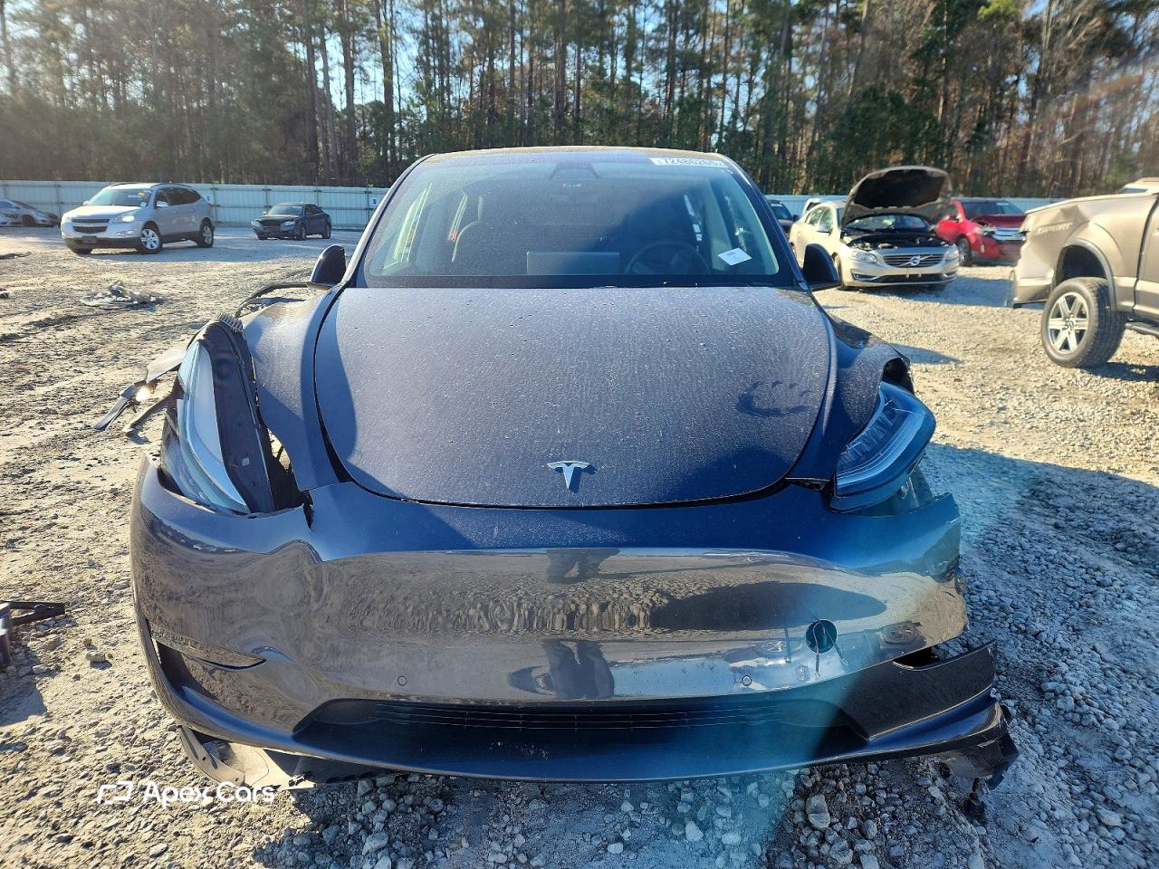 Tesla Model Y 2021