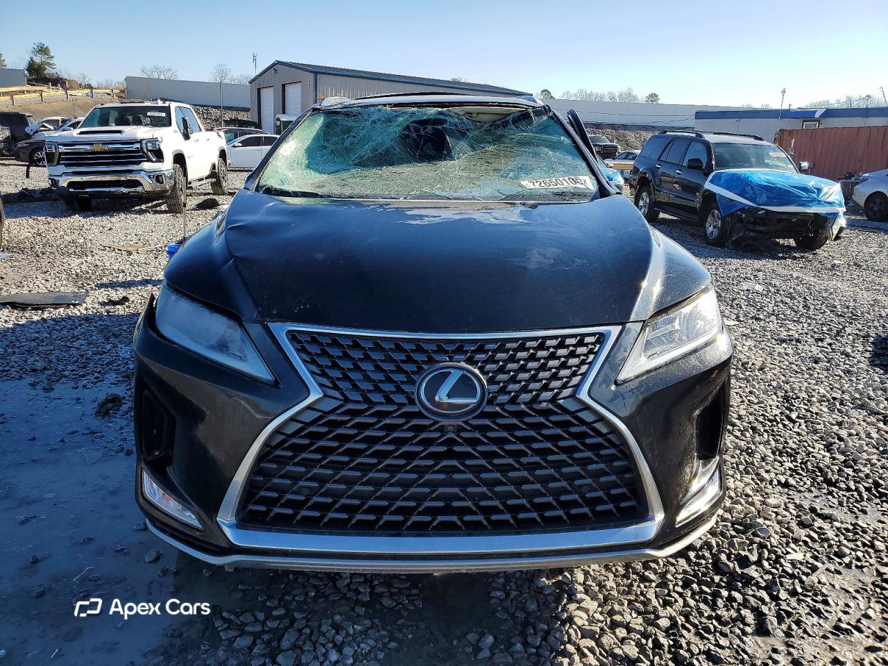 Lexus RX 2022