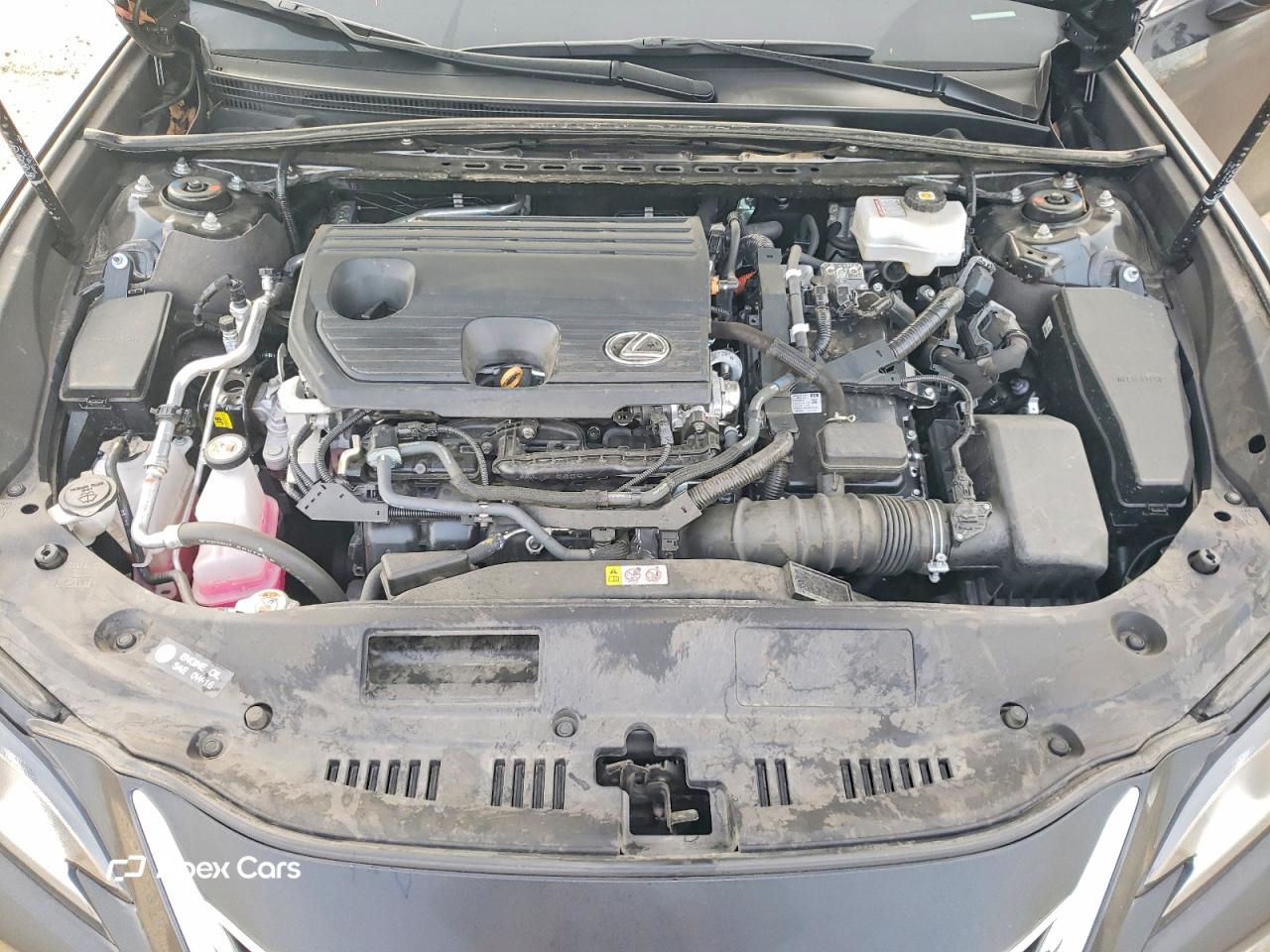 Lexus ES 2024