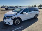 Honda Odyssey 2024