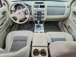 Ford Escape 2008
