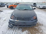 Toyota Corolla 2008