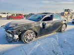 Lexus IS 2022