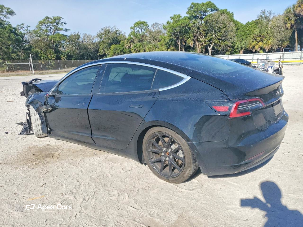 Tesla Model 3 2019