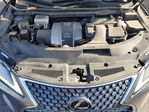Lexus RX 2022