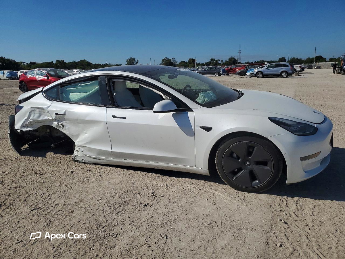 Tesla Model 3 2021
