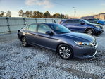 Honda Accord 2013