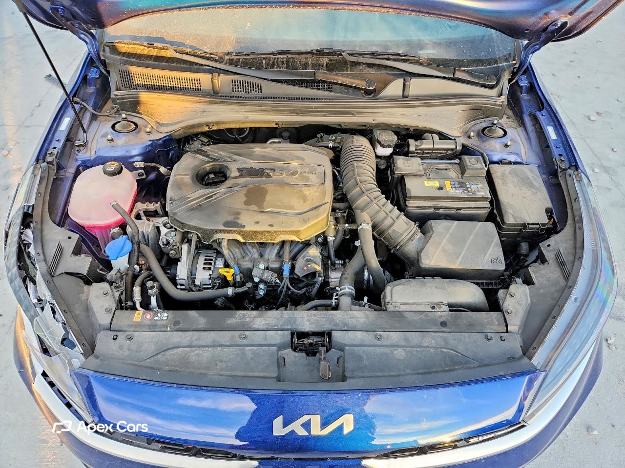 Kia Forte 2024
