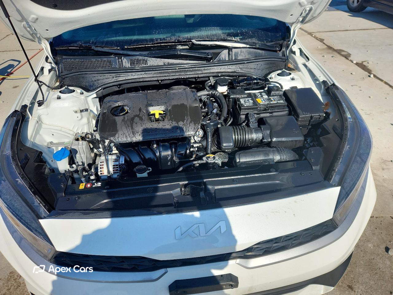 Kia Forte 2024