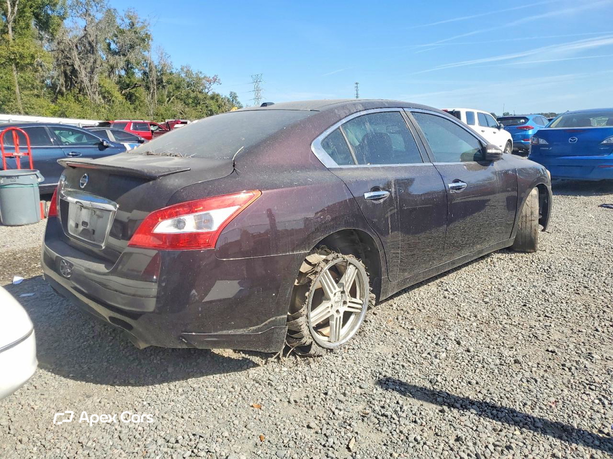 Nissan Maxima 2010