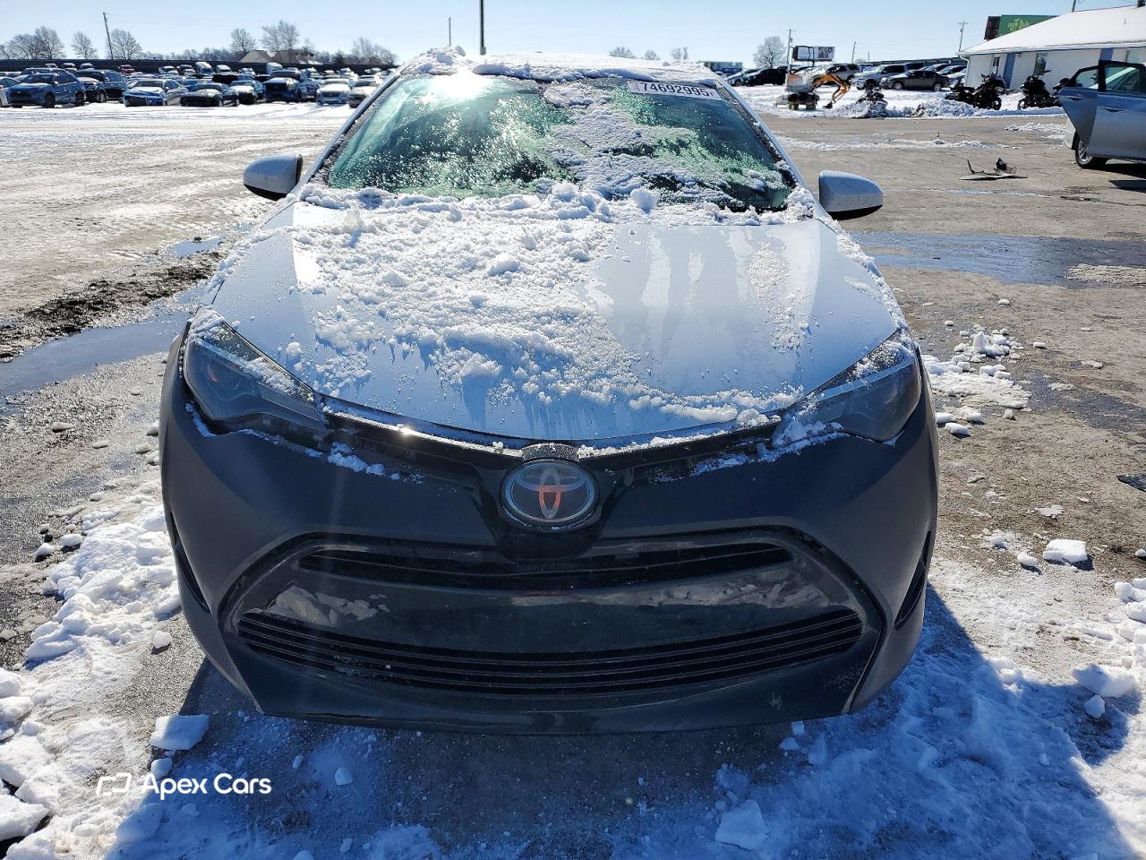 Toyota Corolla 2019